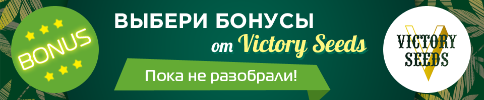 Бонусы от Victory seeds