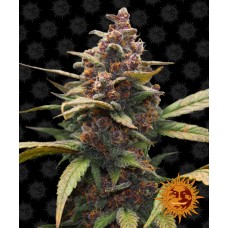 Семена конопли Ayahuasca Purple Феминизированные Barney's farm