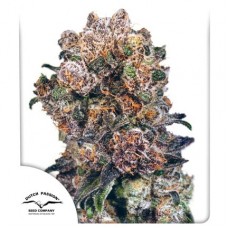 Семена конопли Blueberry regular Регулярные Dutch Passion