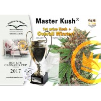 Сорт конопли Master Kush 