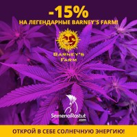 -15% на Barney's farm!