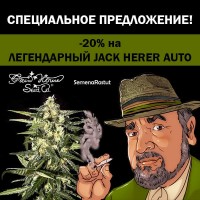 - 20% Jack Herer Auto