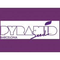 Семена Pyramid Seeds в продаже!