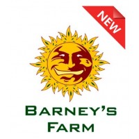 НОВИНКИ от Barney's farm!