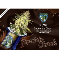Новые семена конопли Chocolate Chunk от TH Seeds