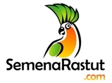 Semena Rastut